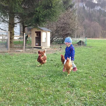 Appartement Isabella